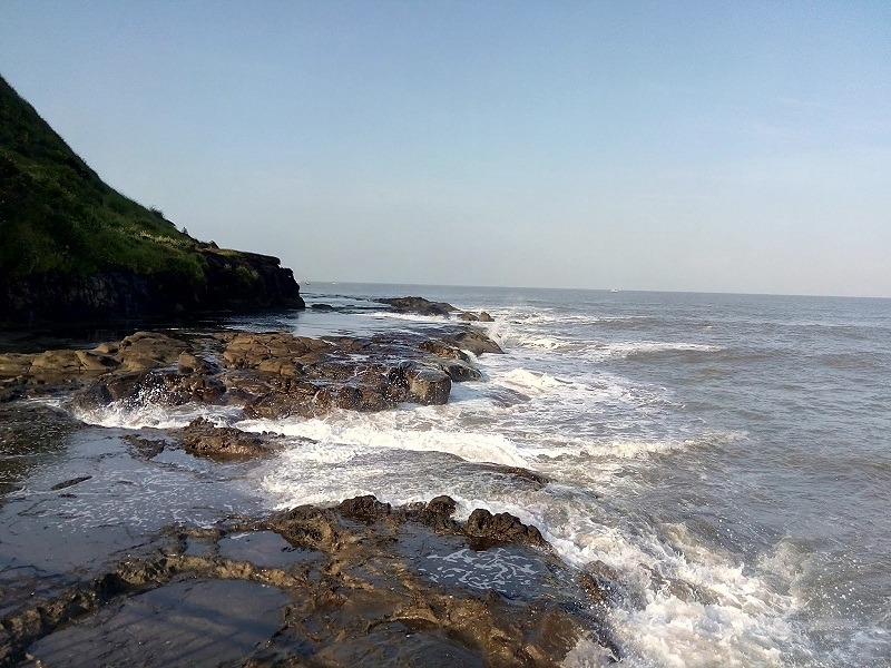 Banner Image 1