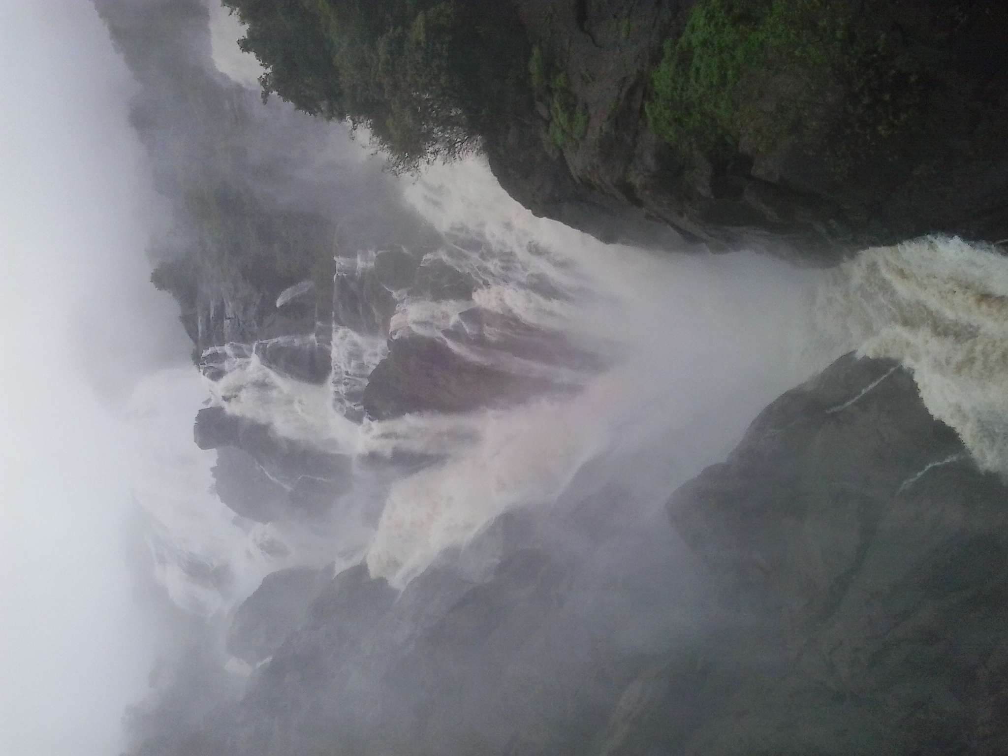 Banner Image 5