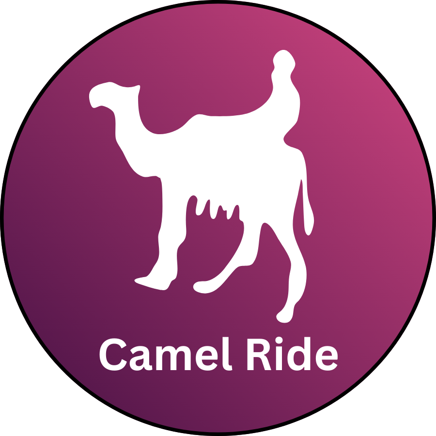 Camel Ride