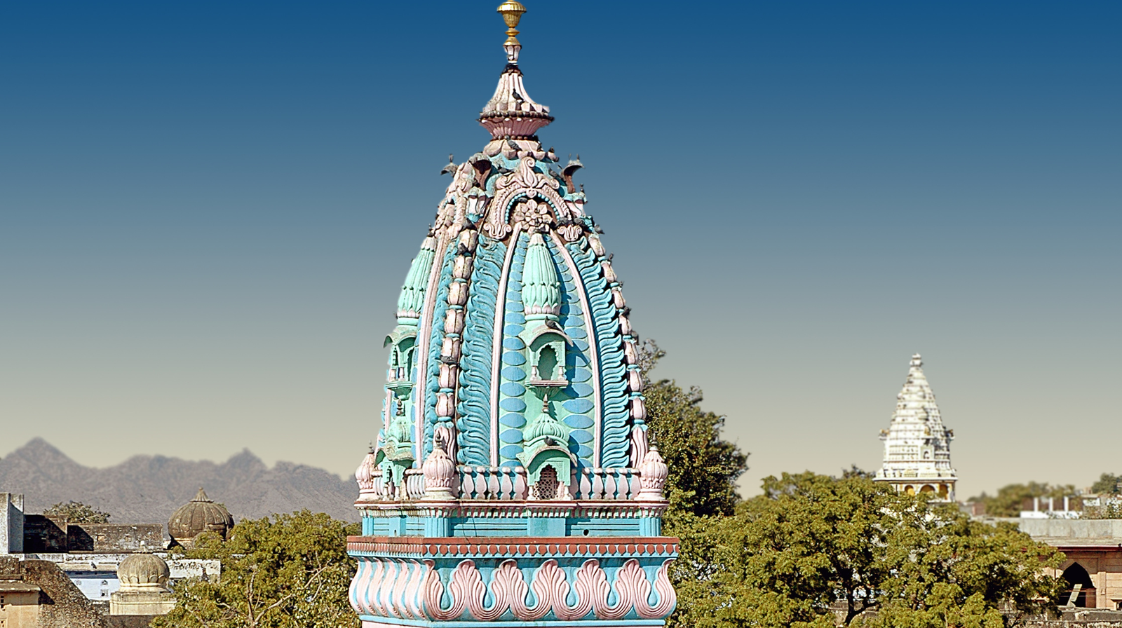 Package Image