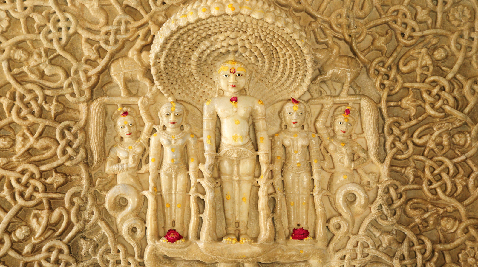 Package Image