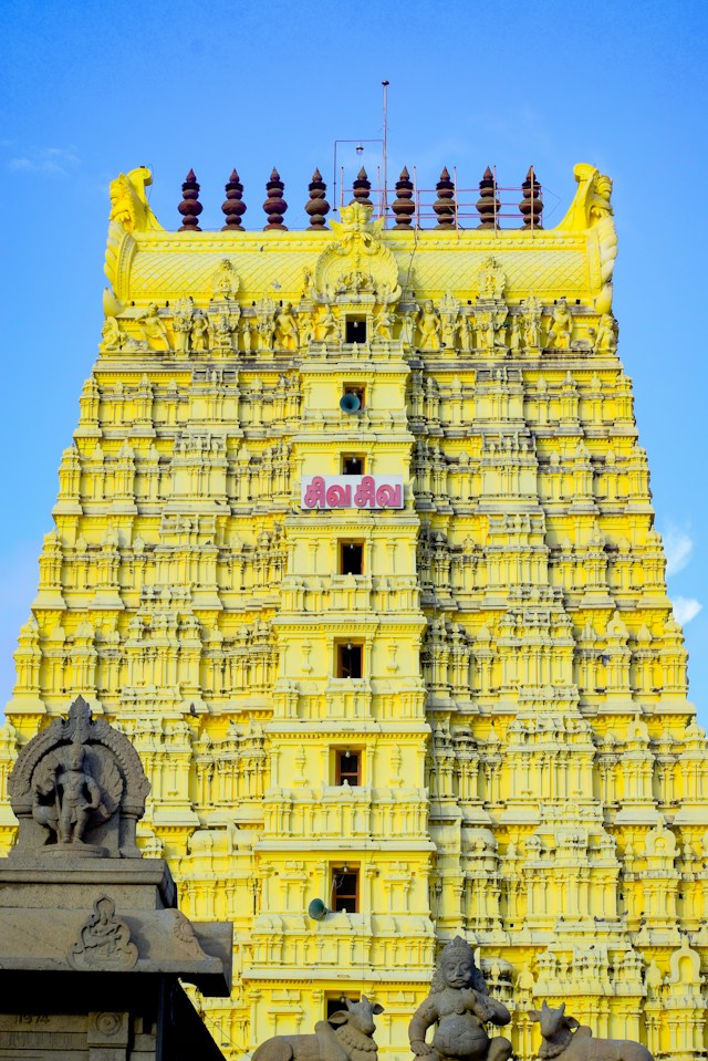 Package Image
