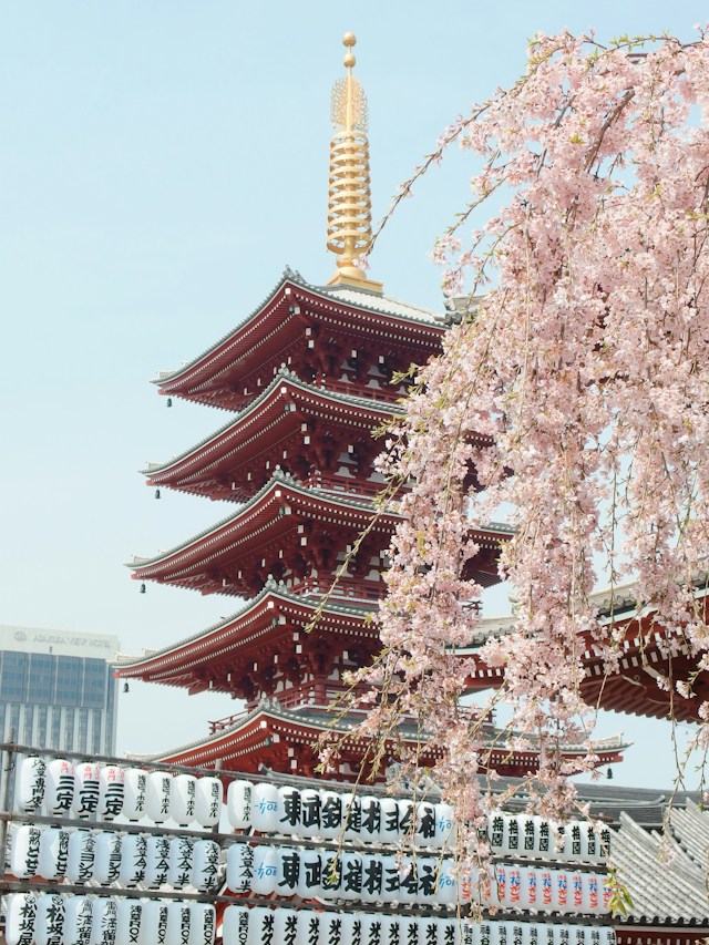 Package Image