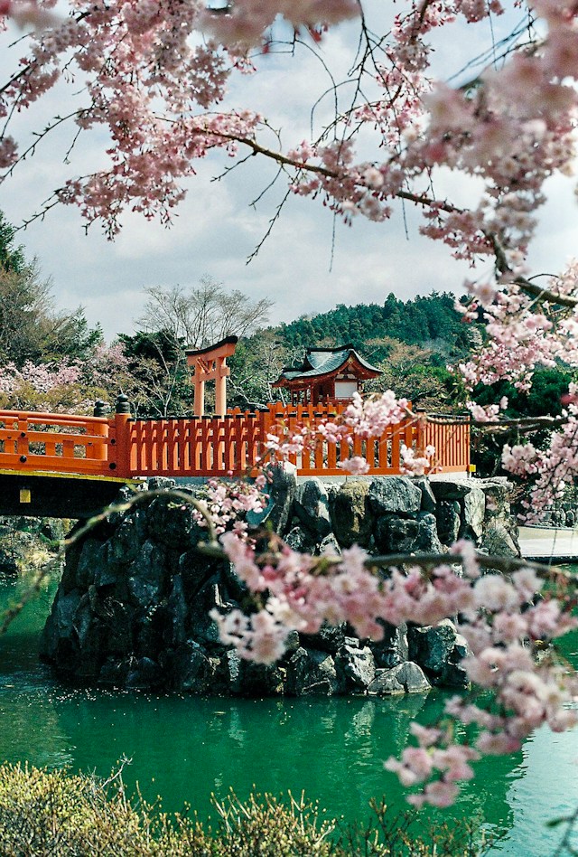 Package Image