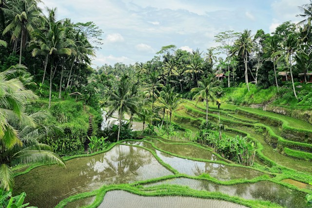 Package Image