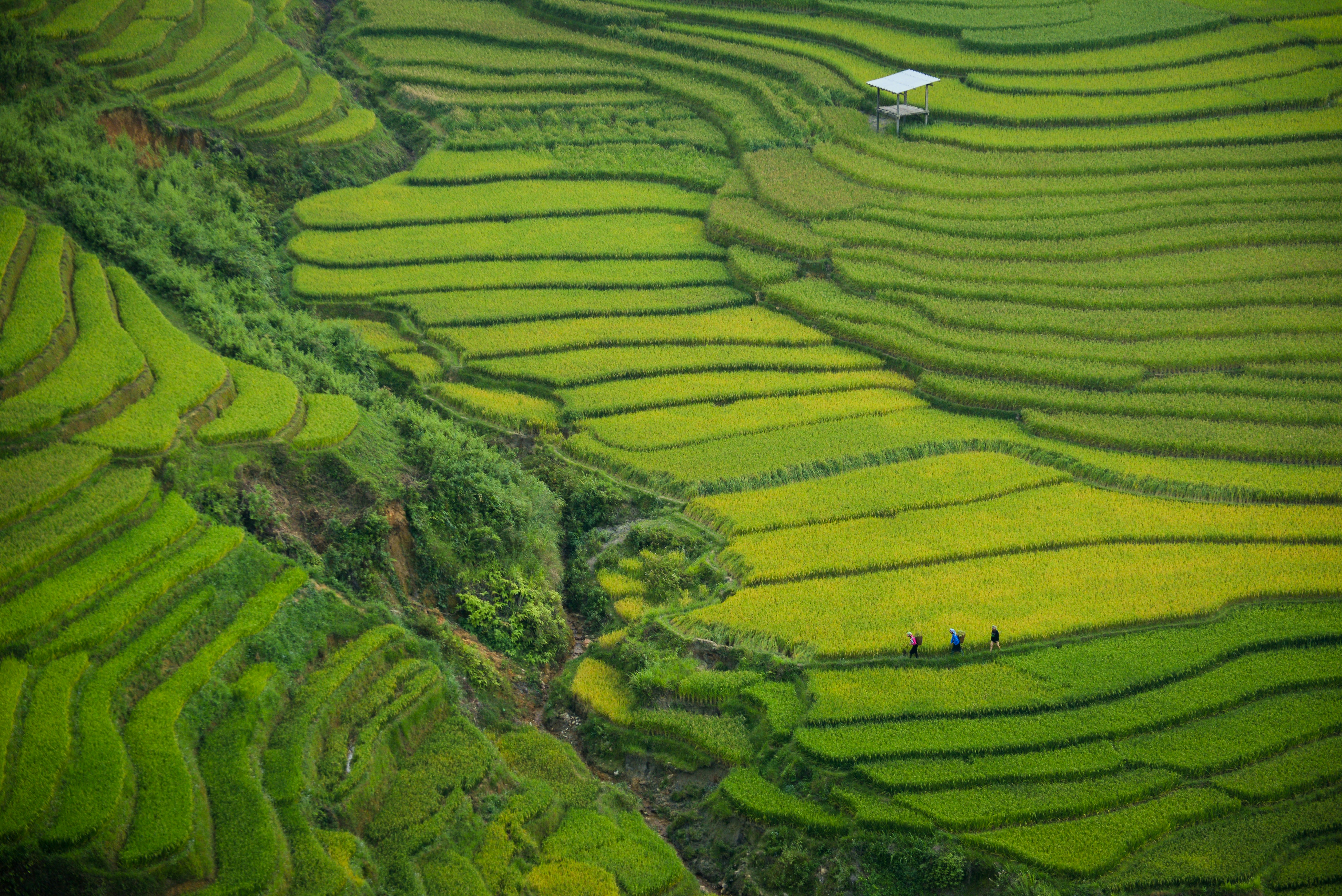 Timeless North Vietnam – Nature & Heritage Trail