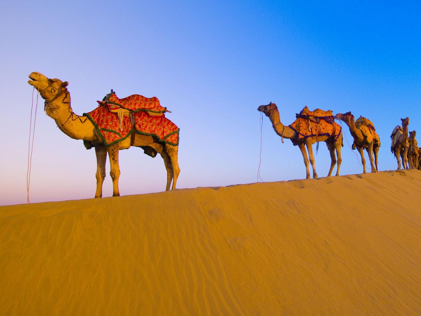 RAJASTHAN TOUR PACKAGE-5