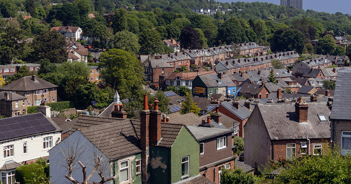 International Tour Package