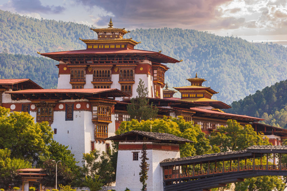 Bhutan Frosted Elegance