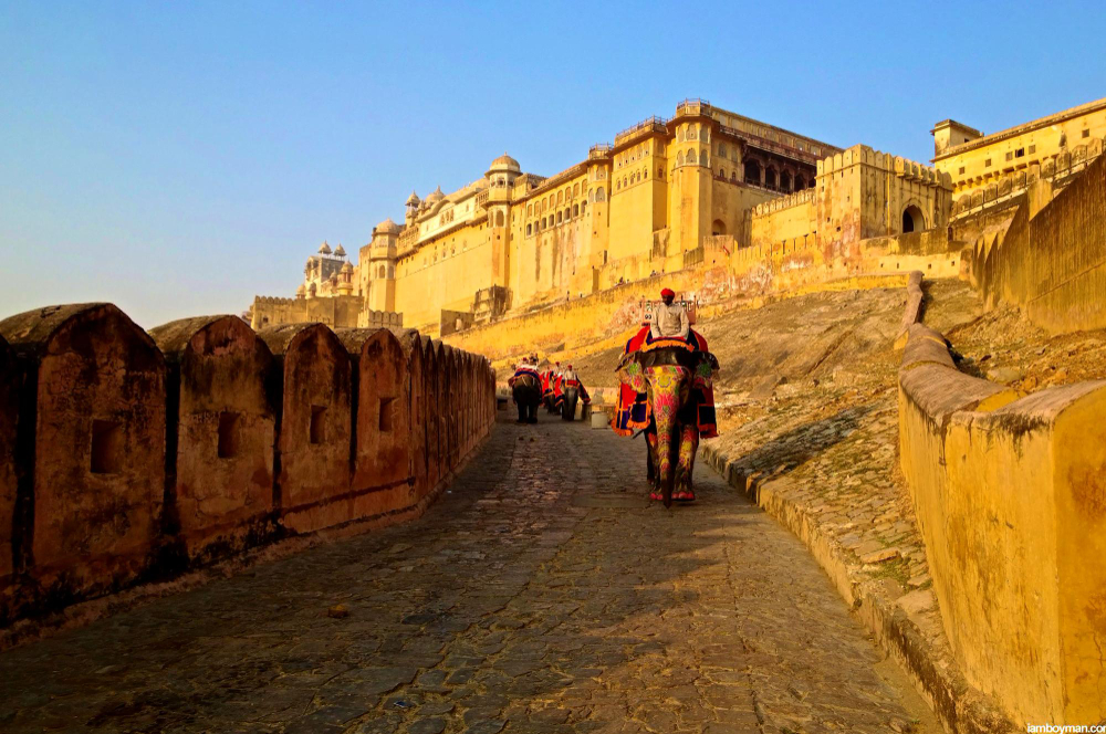 Golden Triangle with Ranthambore Safari