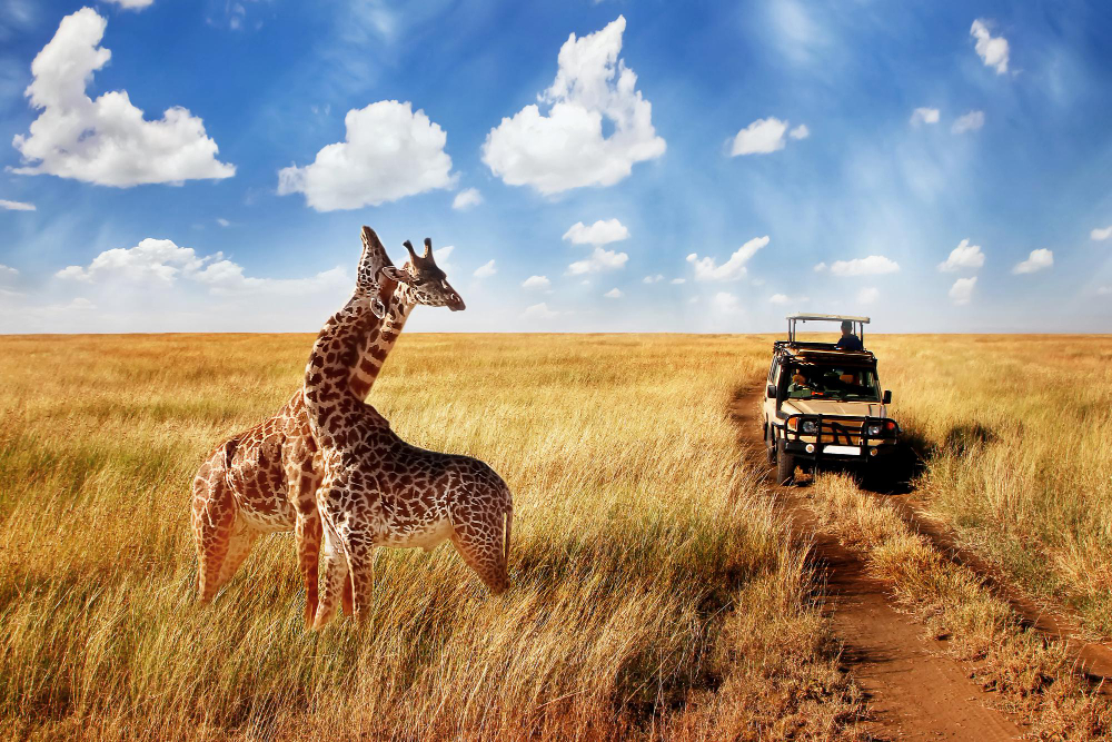 Amboseli Wild Trails