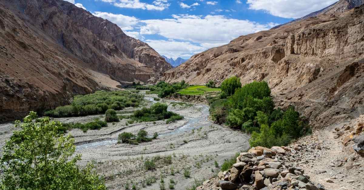 Nomadic Journey