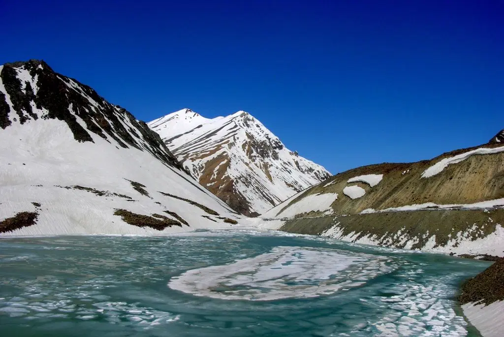 LADAKH APRICOT BLOSSOM FESTIVAL