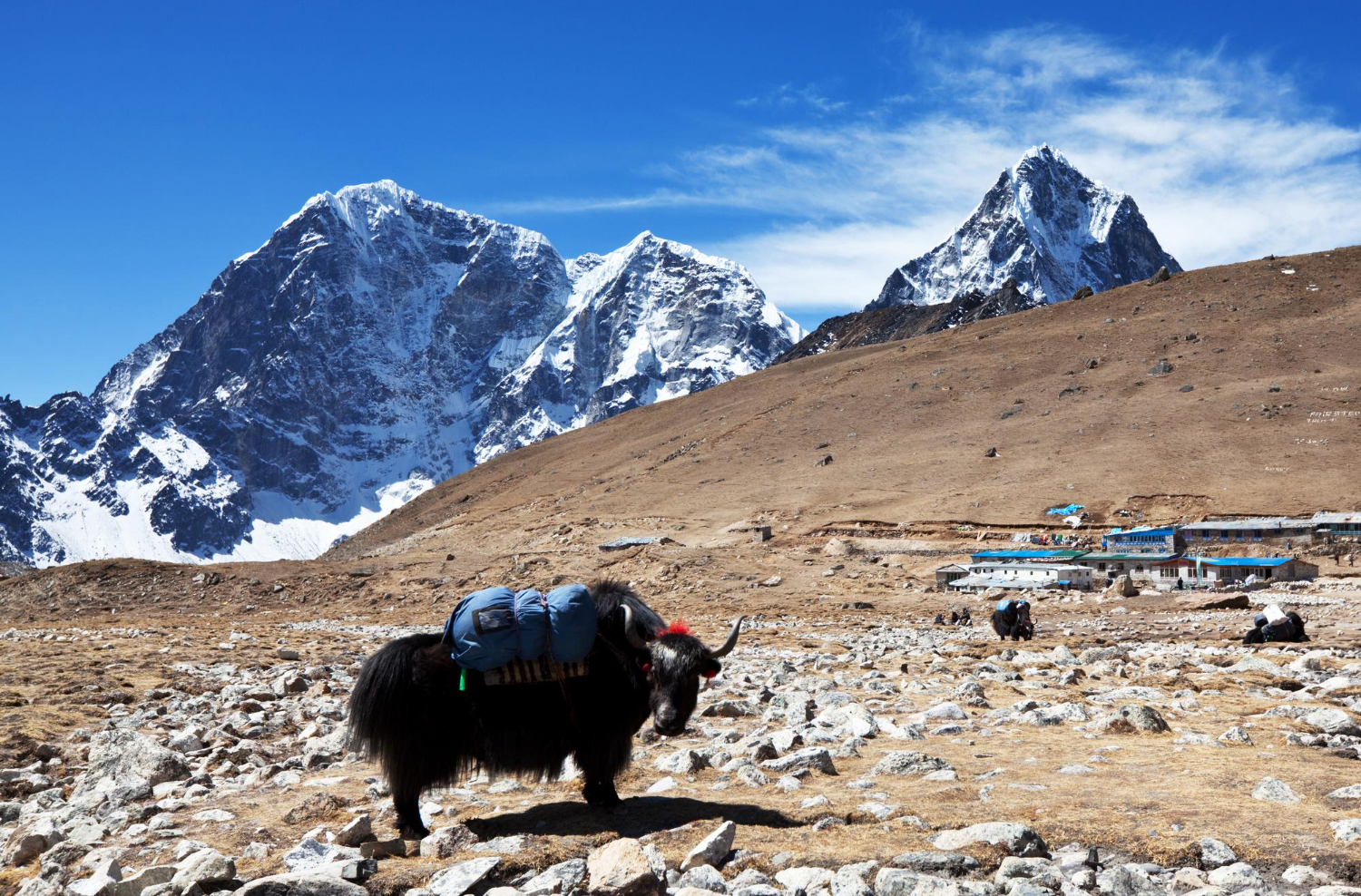 Divine Amarnath Yatra with Pony