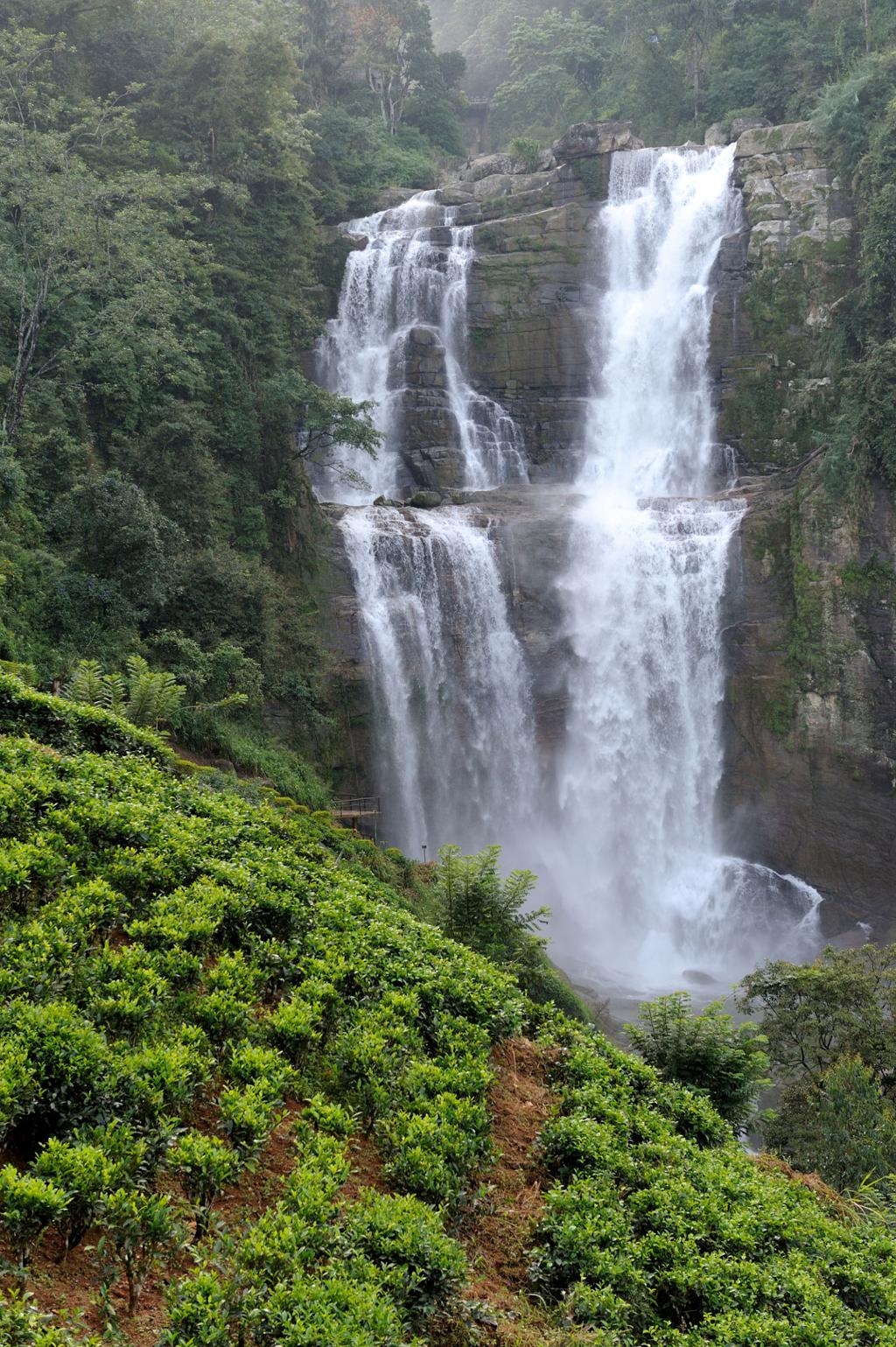 Srilanka  Tour 6n/7d