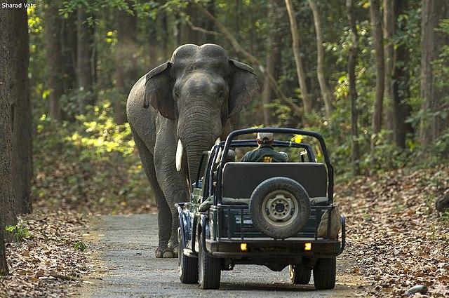 Nature Trails of Uttarakhand