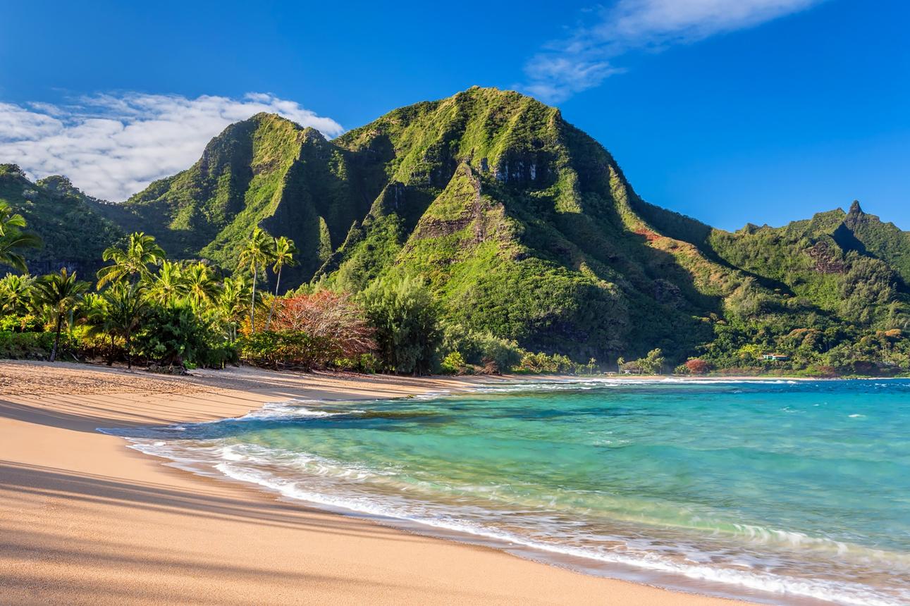 Exotic Honolulu