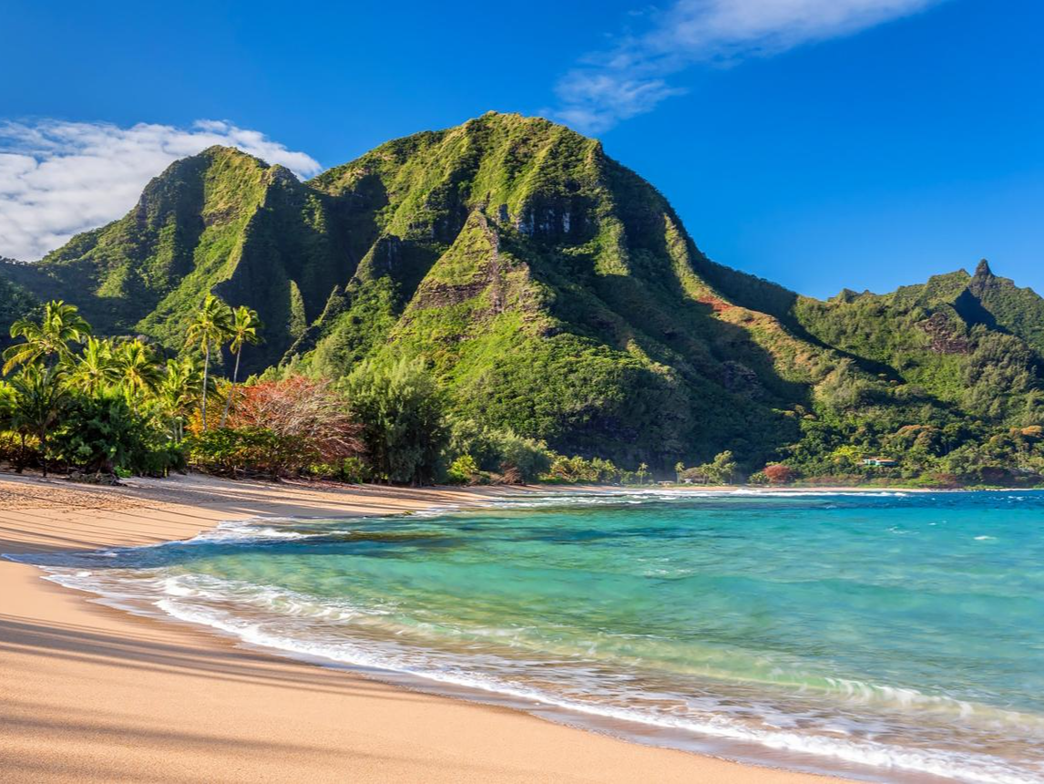 Aloha Hawai