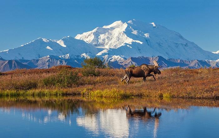 Best Of Alaska