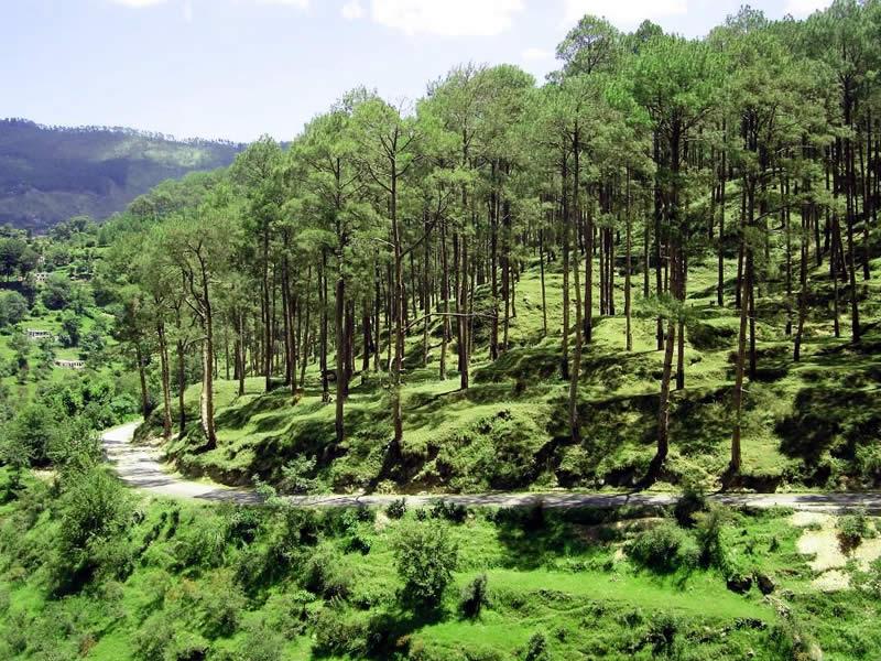 Lakes, Wildlife & Hills –Uttarakhand Explorer