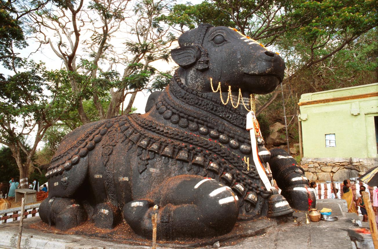 Royal Karnataka & Scenic Ooty Escape