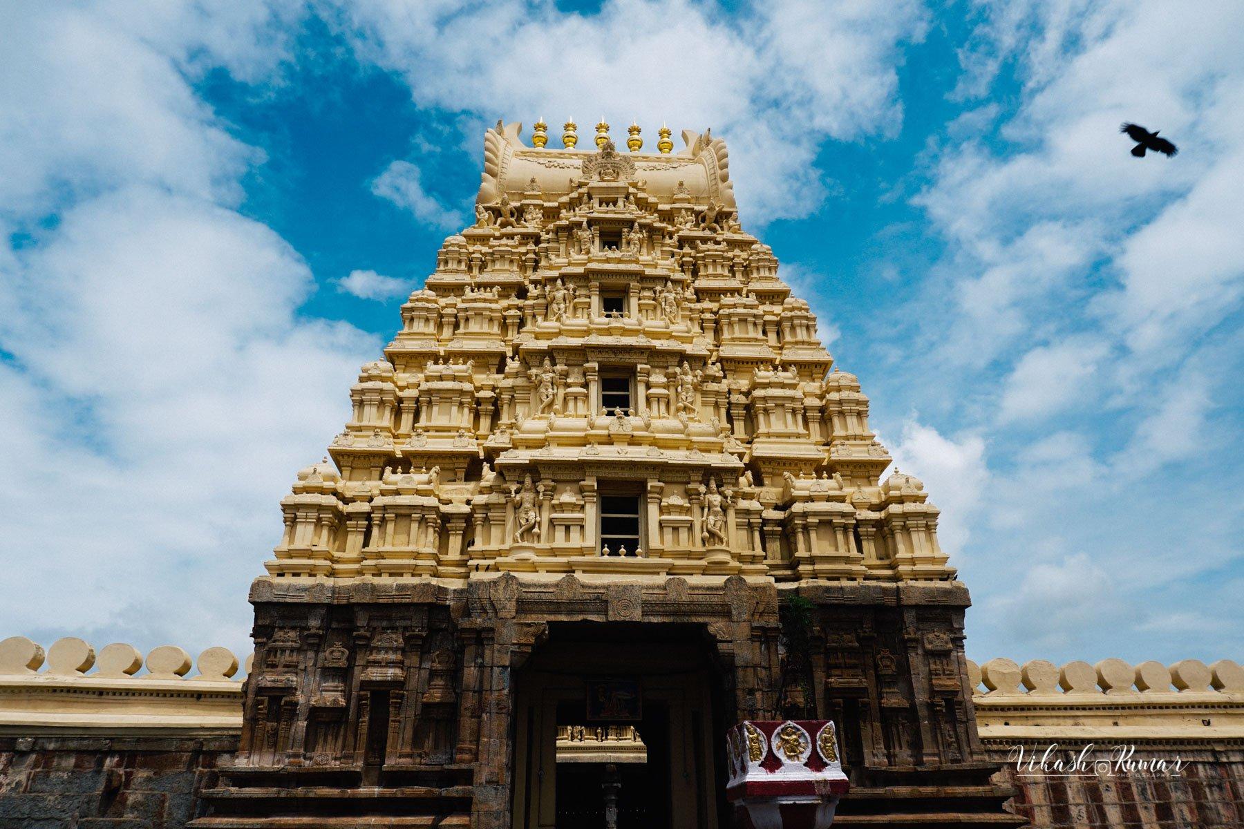 Best of South India: Mysore, Ooty & Kodaikanal