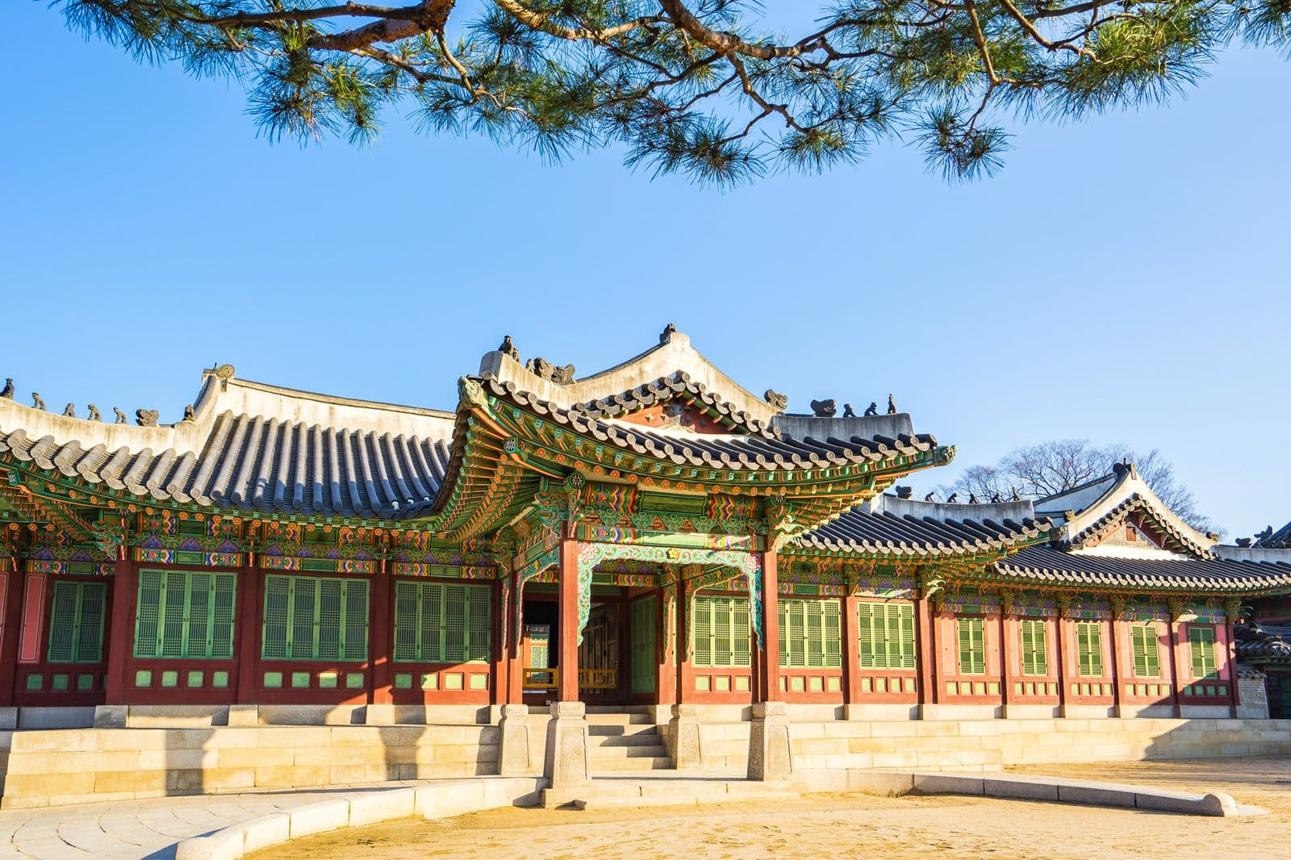Amazing Korea Cherry Blossom Special 2027