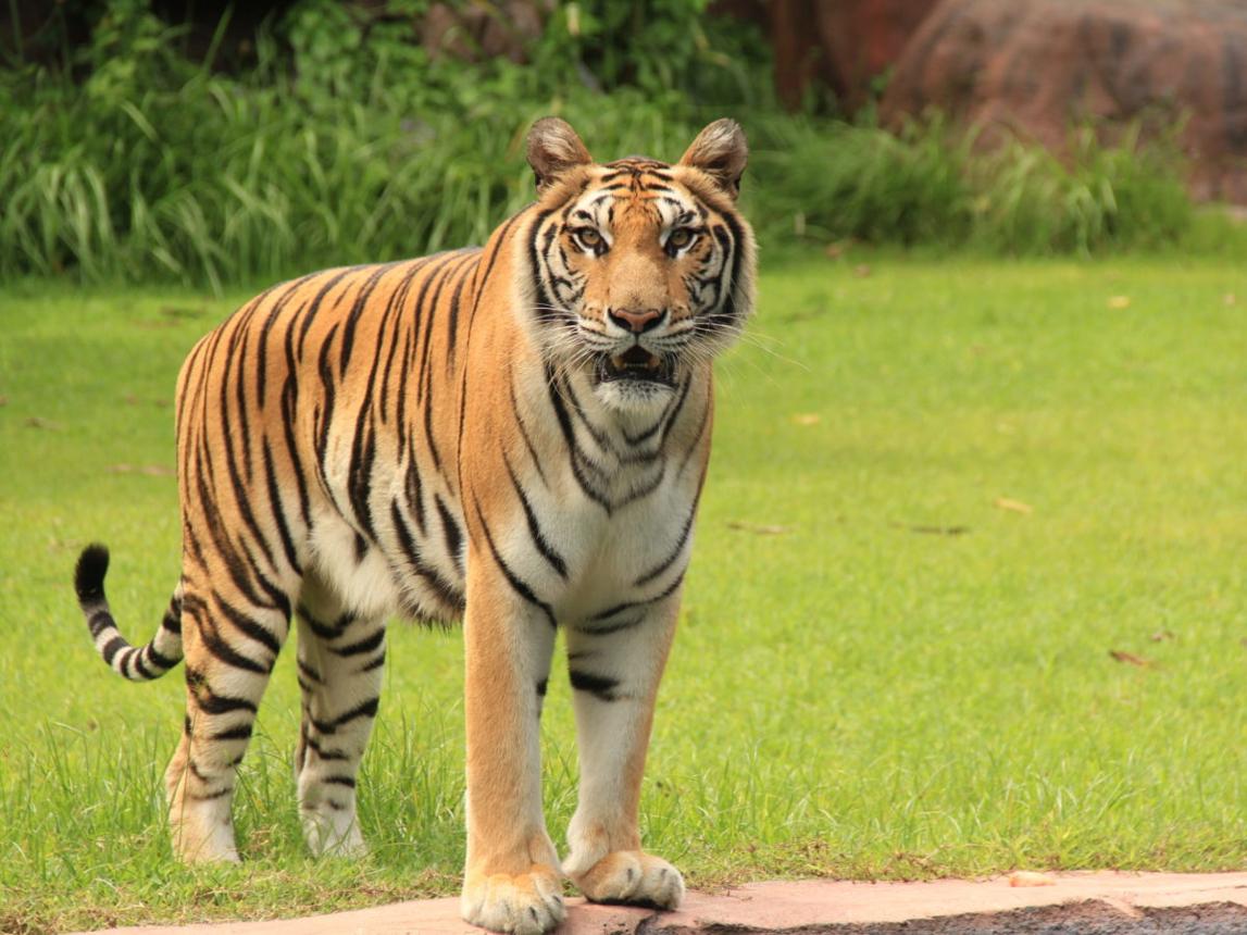 Fun Day Bali Package