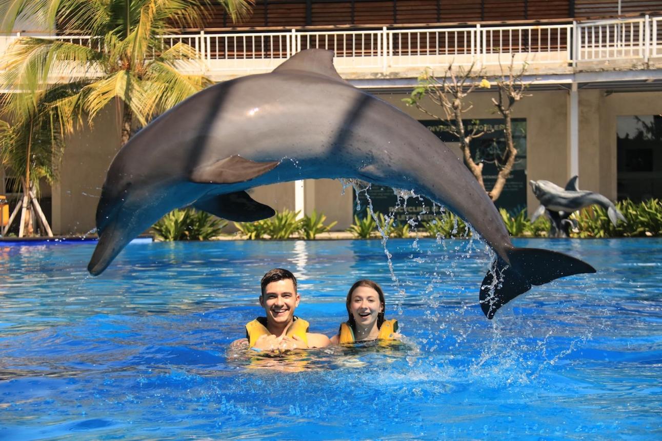 Bali  Tropical Dream Vacation Package