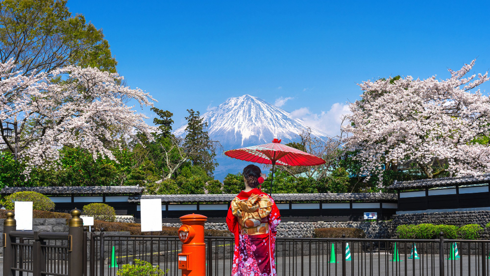 Japan Cherry Blossom Special 2027