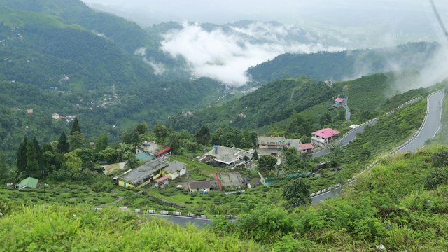 Green Dooars - Darjeeling