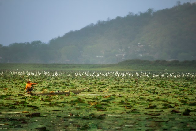 Dream of North-East (Assam - Meghalaya - Mizoram)