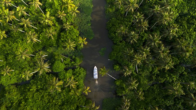 Hills to Horizon - Tamilnadu | Kerala