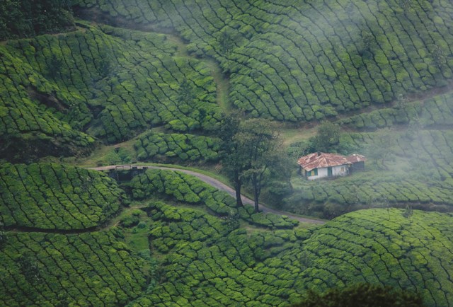 Kerala Family Delight