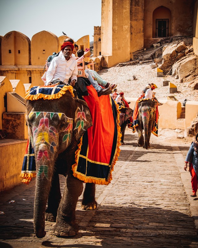 Golden Sands of Jaisalmer Experience