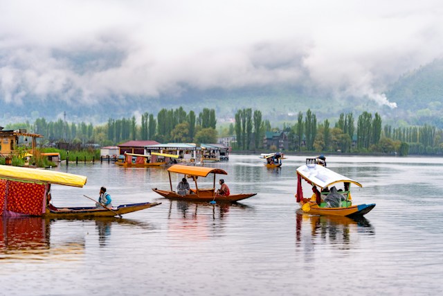 Kashmir Bliss