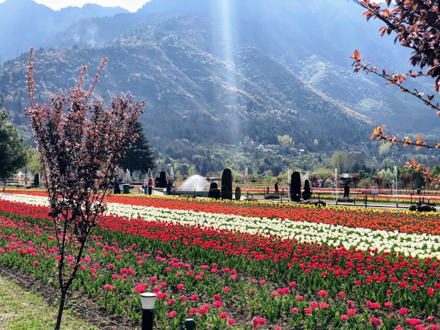 Divine Kashmir with Vaishno Devi