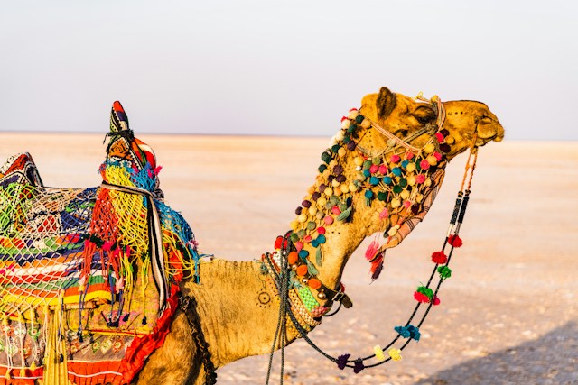 BHUJ-FABULOUS  KUTCH