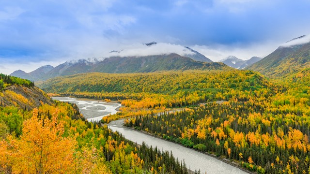 Best Of Alaska