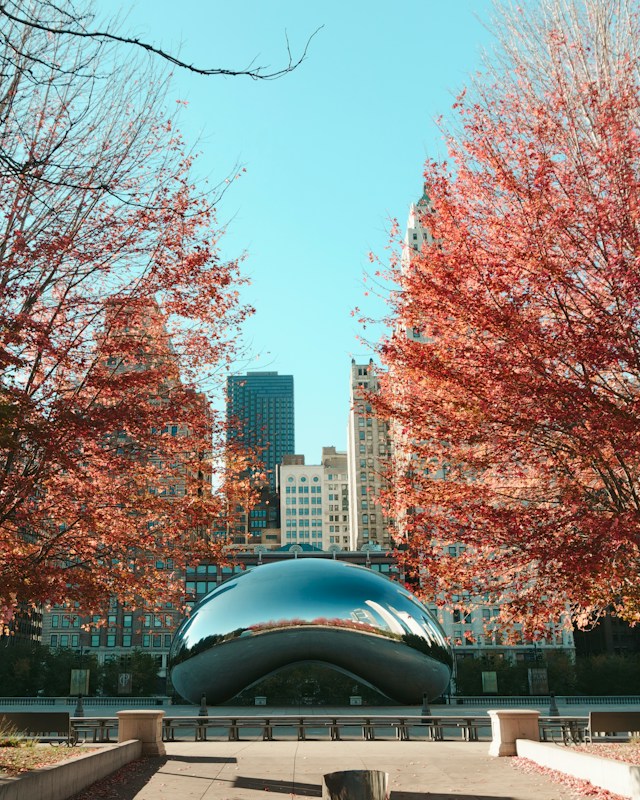 Chicago(City Break)