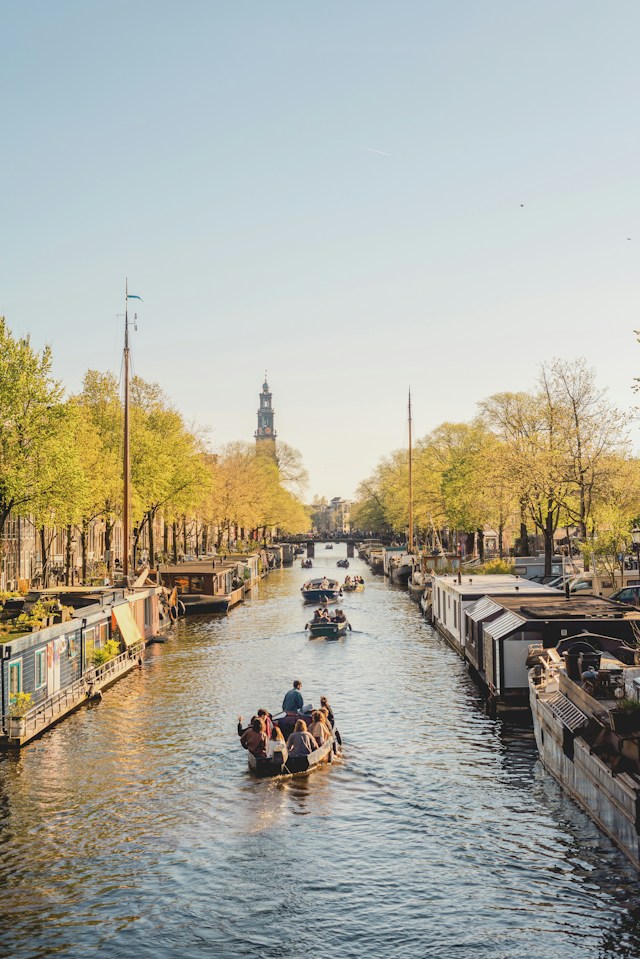 Shokoler Europe