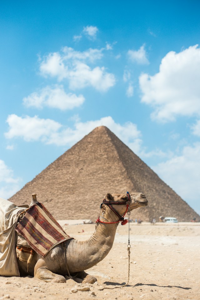 Cairo & Alexandria Escape